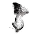 Máscara de Pestañas Resistente al agua Aqua Force Palladio - Imagen 3